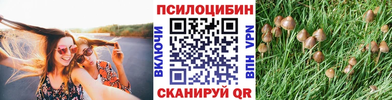Псилоцибиновые грибы Magic Shrooms  закладка  ОМГ ОМГ как зайти  Асбест 